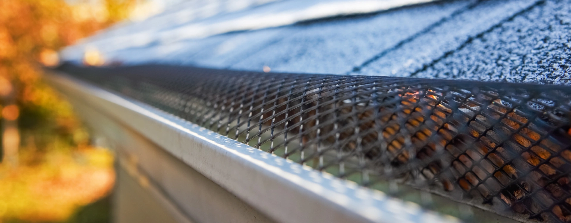 Hero Full Width Frame